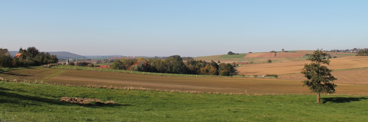 Herbst in der Feldmark